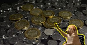 propina-obligatoria-mexico-que-hacer-caso-obliguen-pagar-profeco-1