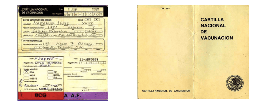 La epidemia de Sarampión de 1989