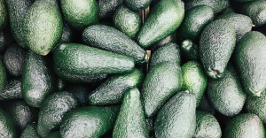 De México al Super Bowl: 120 mil toneladas de aguacate se exportaron a Estados Unidos