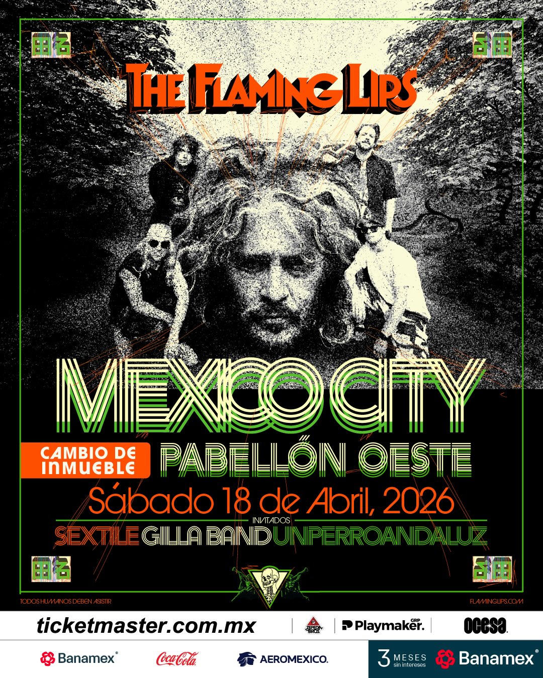 the flaming lips mexico