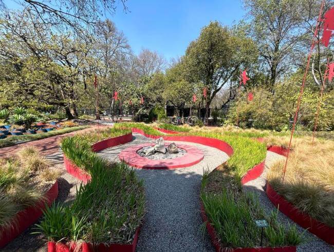 Para empezar la primavera: Lugares para ver magnolias en CDMX