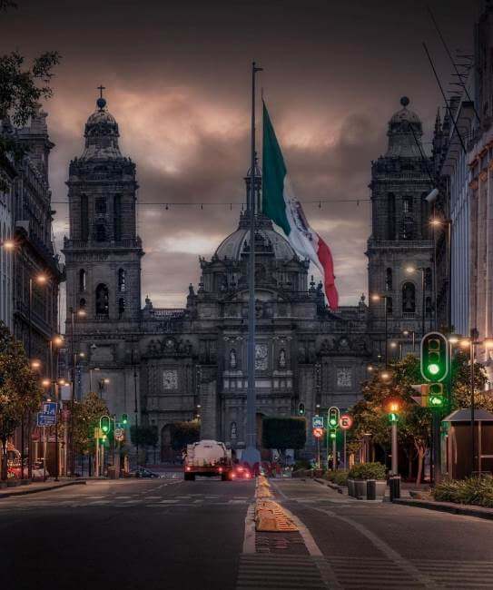 Para empezar la primavera: Lugares para ver magnolias en CDMX