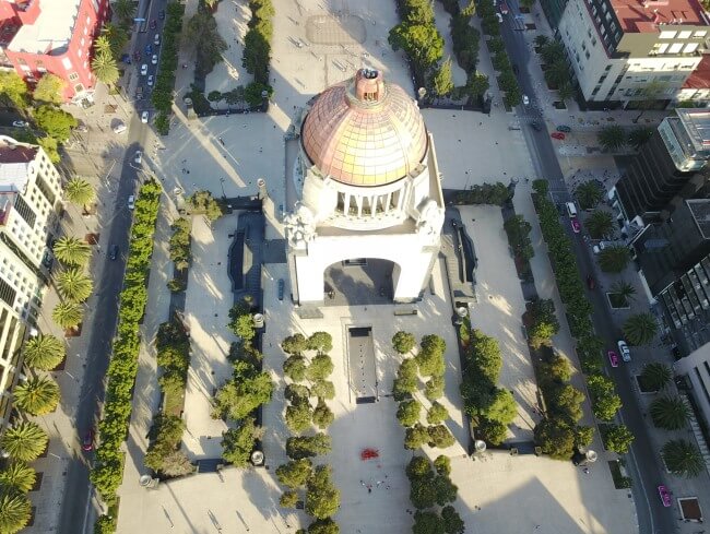 Para empezar la primavera: Lugares para ver magnolias en CDMX