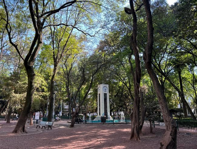Para empezar la primavera: Lugares para ver magnolias en CDMX