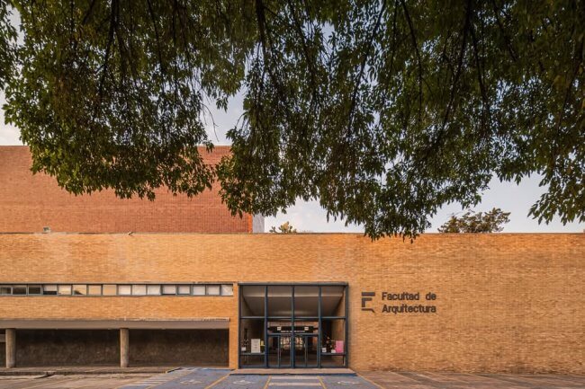 Para empezar la primavera: Lugares para ver magnolias en CDMX