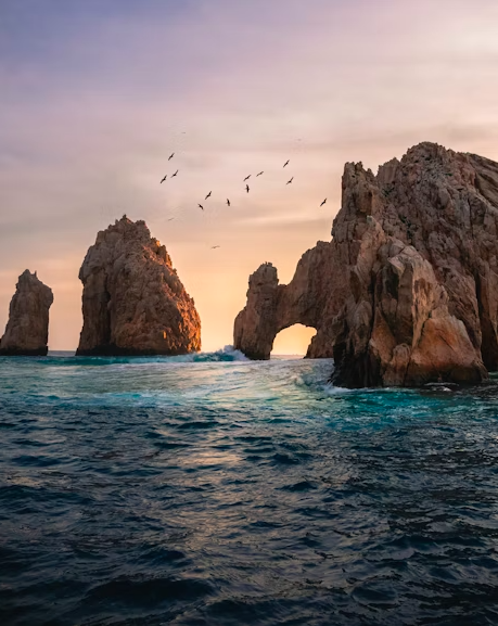 Seis Viajes por México 