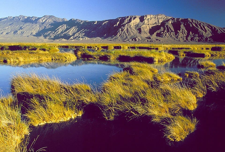 Seis Viajes por México 