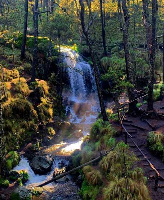 Actividades súper baratas para hacer en las faldas del Popocatépetl