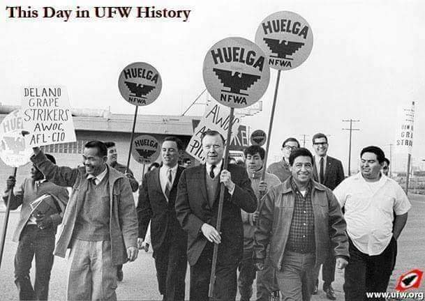 César Chávez, acusado de abuso sexual por Dolores Huerta y más mujeres