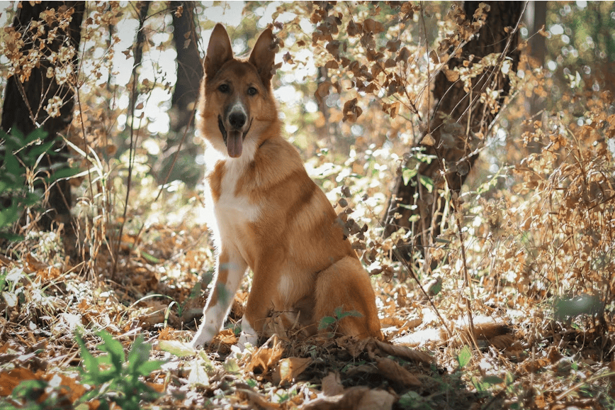 Cinco cuentos para leer en primavera