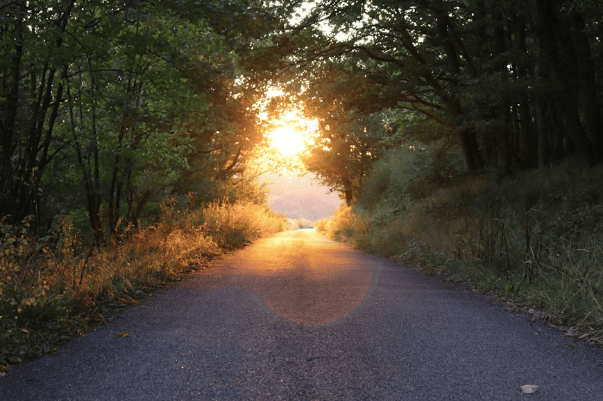 Cinco cuentos para leer en primavera