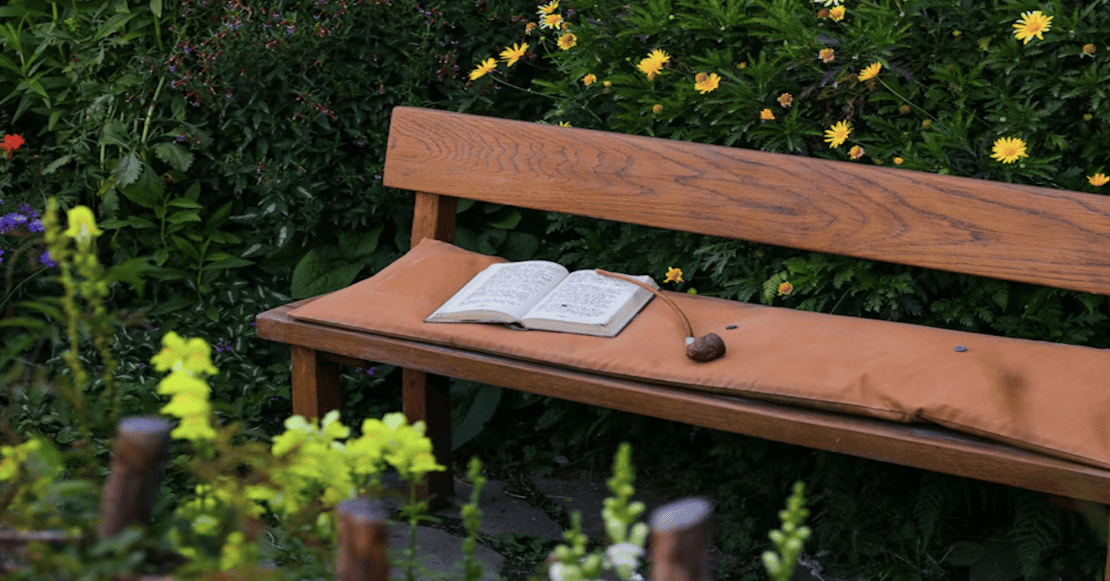 Flores y libros presenta: 5 cuentos para leer solo en primavera