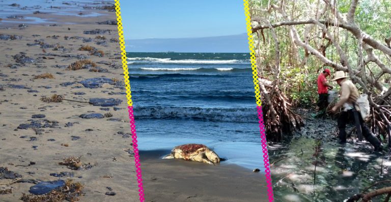 derrame-petroleo-golfo-mexico-que-esta-pasando-avance-limpieza-responsables