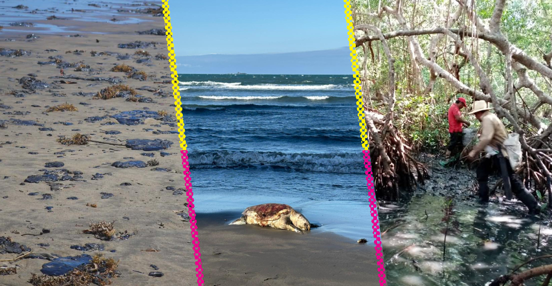 derrame-petroleo-golfo-mexico-que-esta-pasando-avance-limpieza-responsables