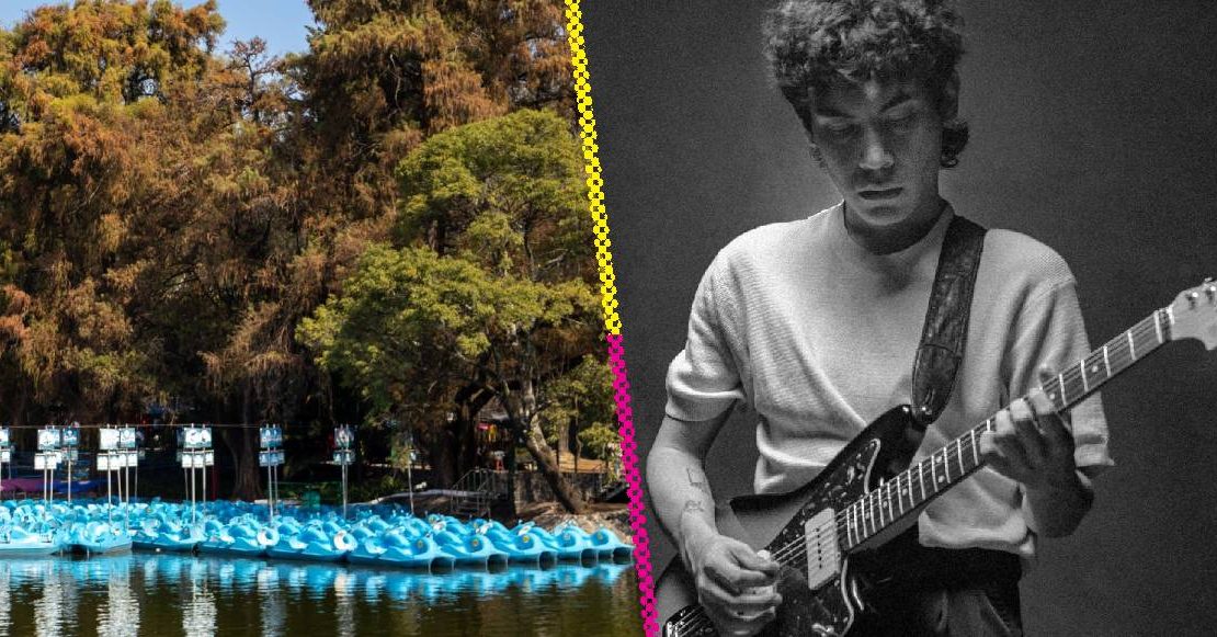 Ambulante: ‘La Nube en el Jardín’ de Ed Maverick se proyectará en las lanchas de Chapultepec