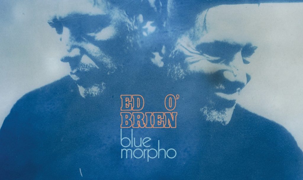 ed o brien blue morpho