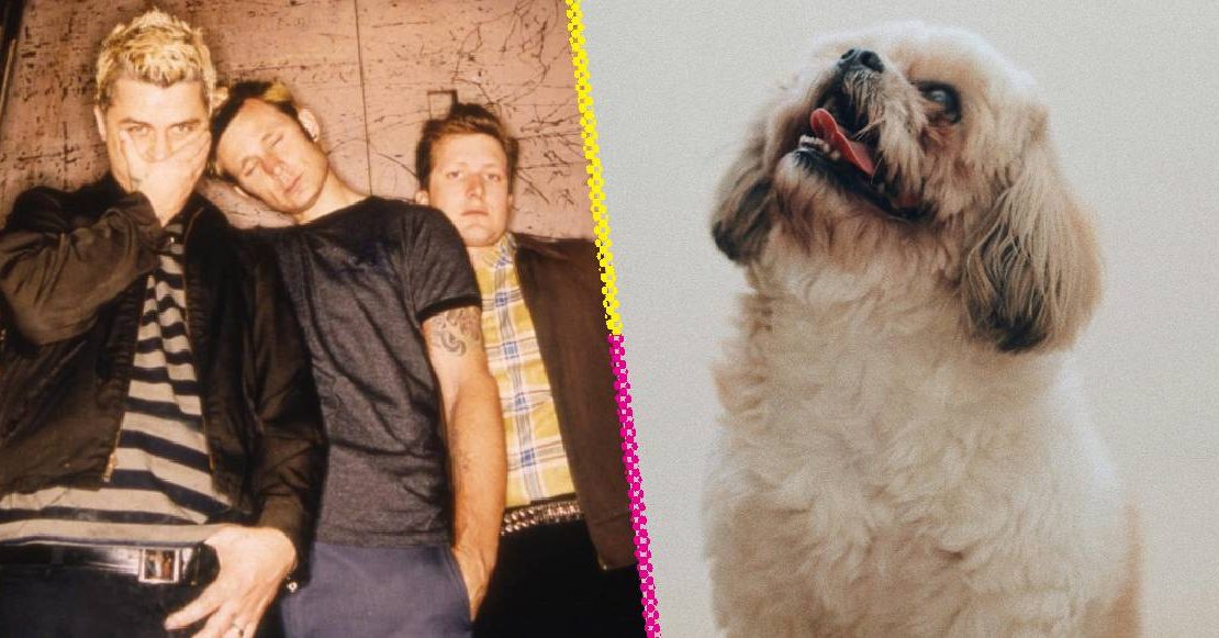 Habrá disco tributo a Green Day… y será en beneficio de refugios de animales