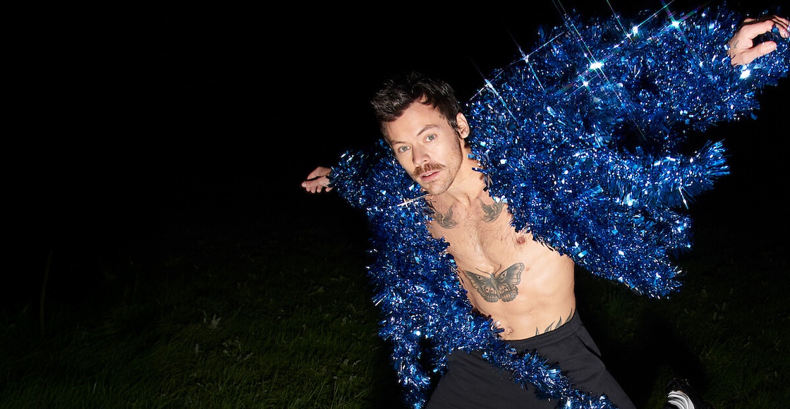 harry styles netflix