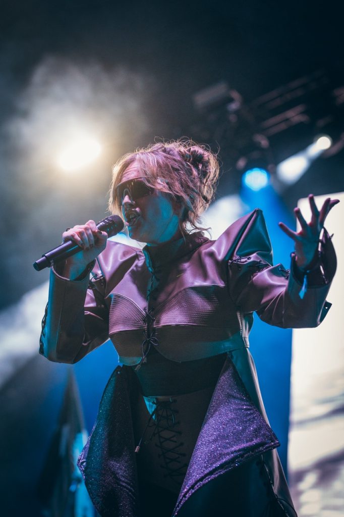 hello seahorse vive latino