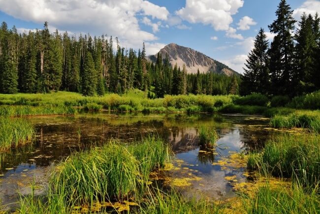 Entre bosques y rascacielos: La historia de Cuajimalpa