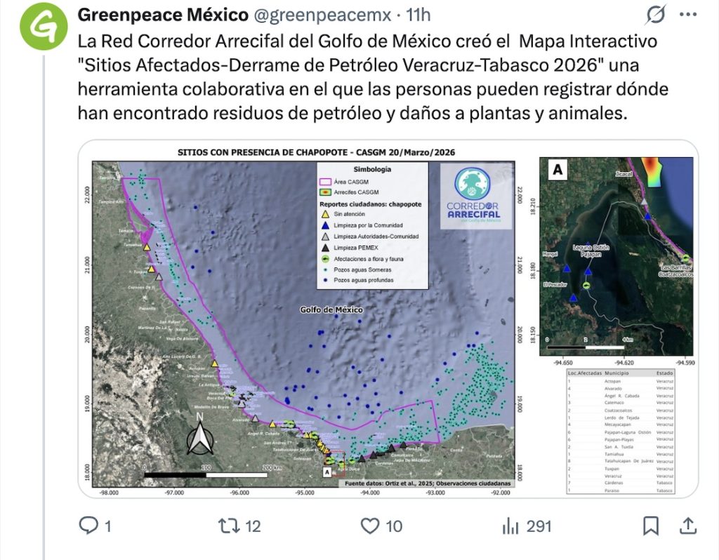 Imágenes satelitales para dimensionar el derrame de hidrocarburos en el Golfo de México