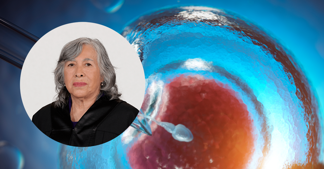 María Estela Ríos y el comentario sobre bebés “in vitro” que desató polémica en la SCJN