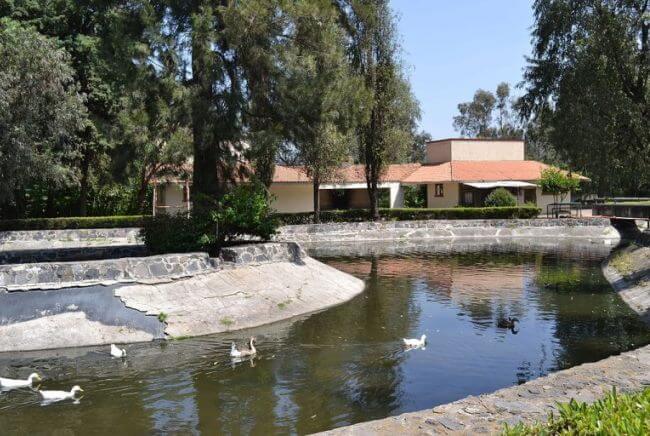 Los antiguos manantiales de Xochimilco