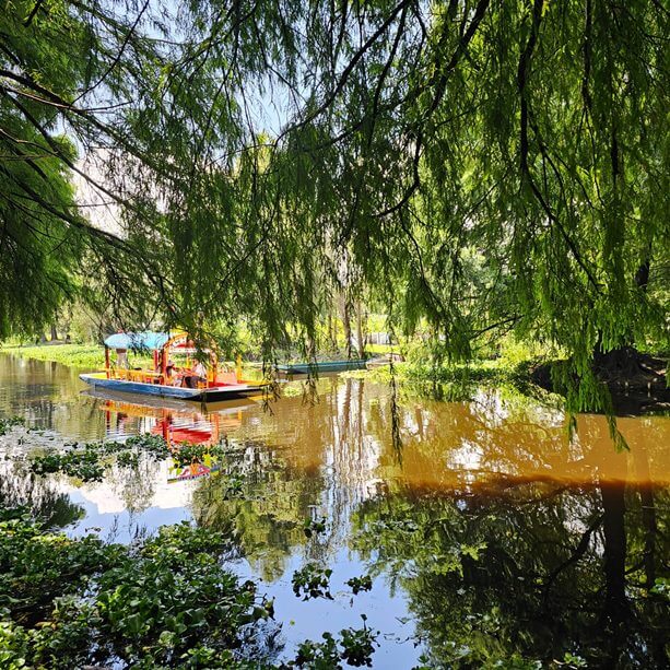 Los antiguos manantiales de Xochimilco
