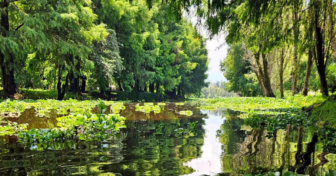 Los antiguos manantiales de Xochimilco