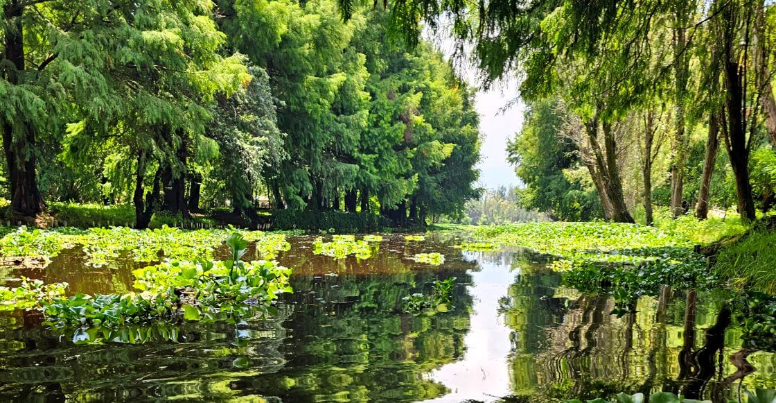 Los antiguos manantiales de Xochimilco