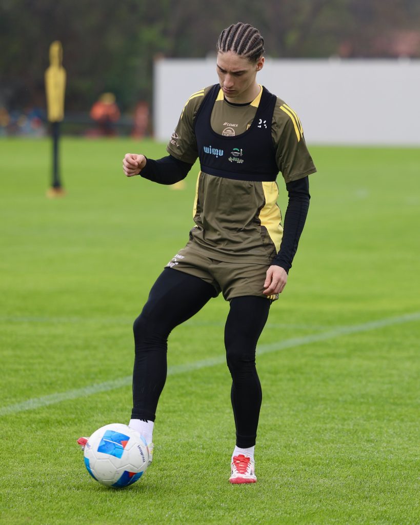 Marcelo Flores en Tigres