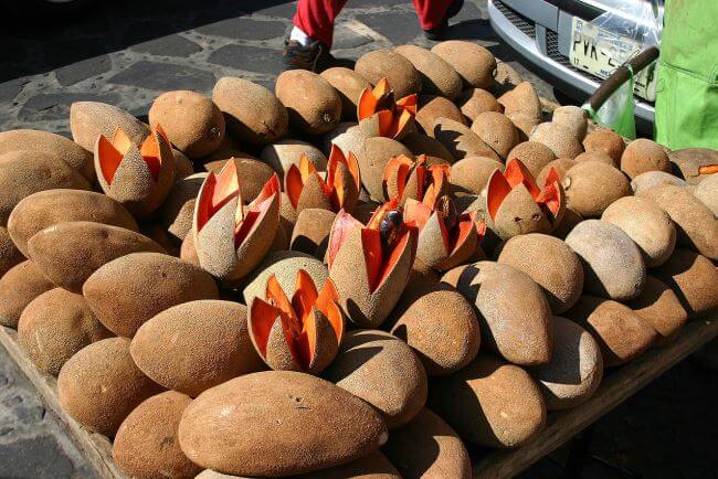 El exótico (y fantástico) origen del mamey