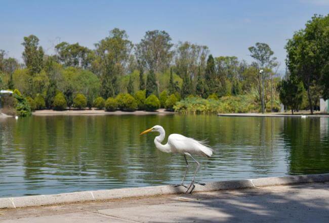 Visitas de Semana Santa: El Paseo de los Compositores
