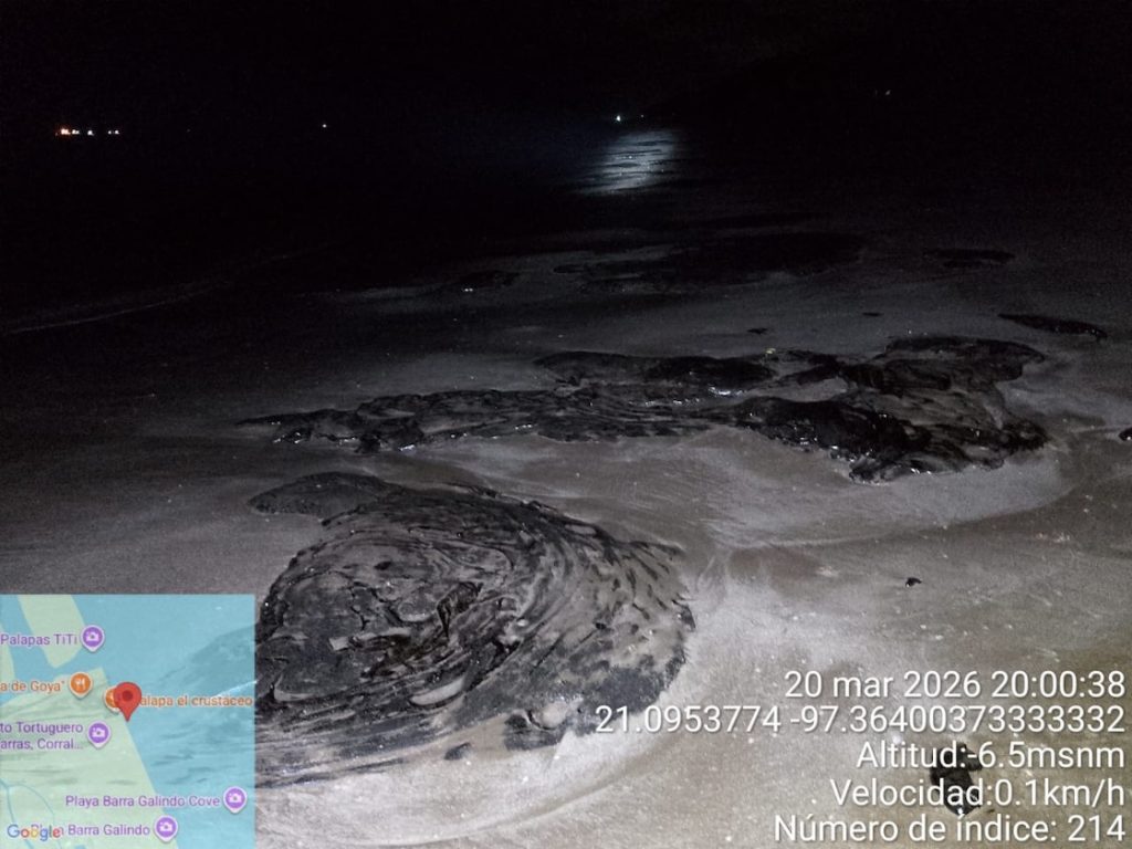 Imágenes satelitales para dimensionar el derrame de hidrocarburos en el Golfo de México