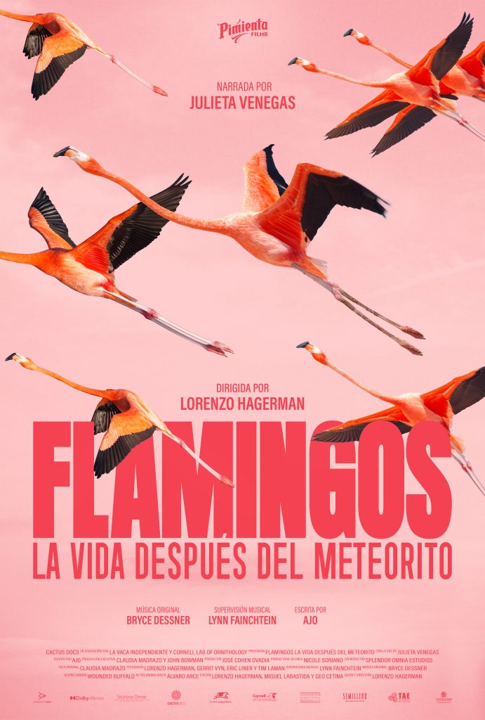 Póster de 'Flamingos' de Lorenzo Hagerman y la voz de Julieta Venegas