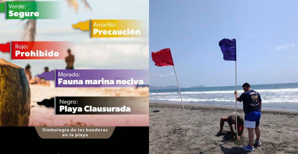 ¿Dragón azul en Michoacán? El hallazgo que encendió la alerta en plena temporada vacacional