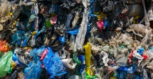 ¿Este es el fin del plástico? Una bacteria podría ser la nueva heroína ecológica