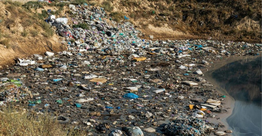 ¿Este es el fin del plástico? Esta bacteria podría ser la nueva heroína ecológica