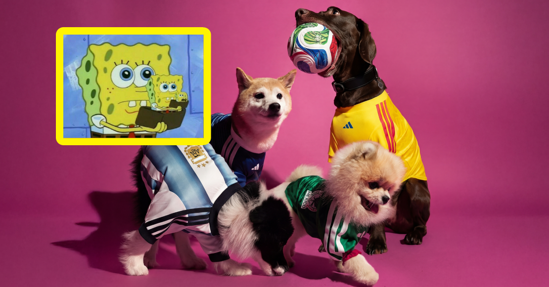 ¿De a cómo y por qué tan caros? Habrá jerseys mundialistas para mascotas