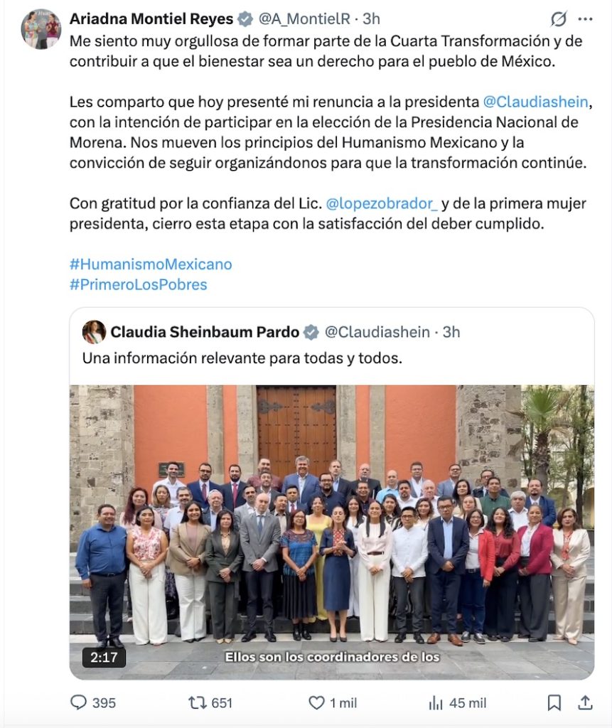 Leticia Ramírez es la nueva secretaria del Bienestar tras salida de Ariadna Montiel... ¿a Morena?