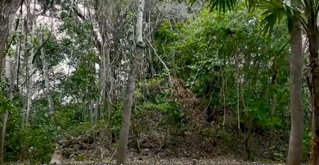 ¿Otra ciudad maya? INAH registra impresionante hallazgo en Quintana Roo