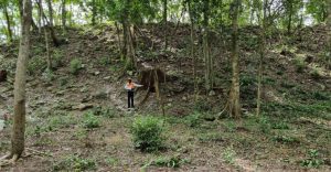 ¿Otra ciudad maya? INAH registra impresionante hallazgo en Quintana Roo