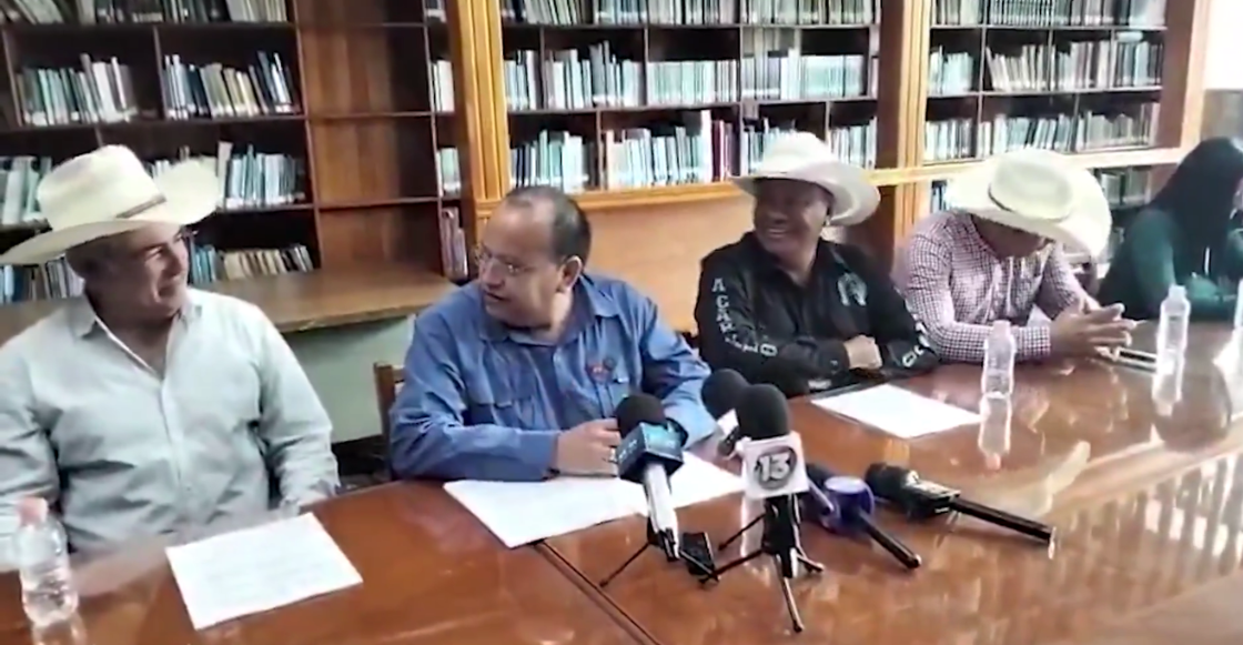 Funan a Diputado del PT por comparar a las mujeres con caballos