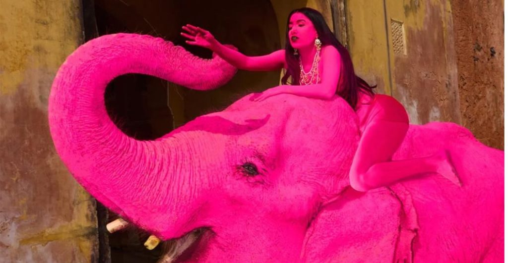 ¡PETA India explota! Caso de 'Chanchal' reabre debate sobre paseos en elefante
