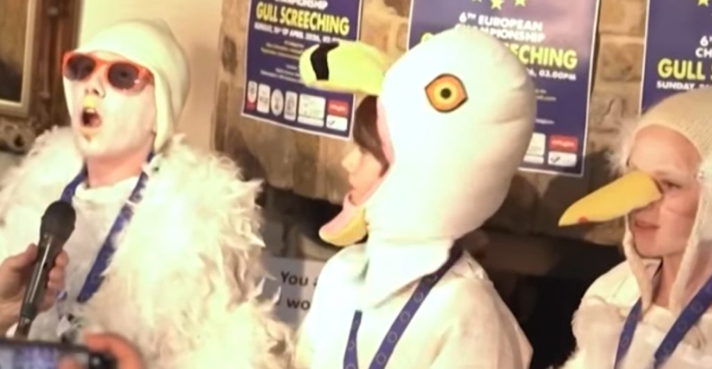 europa-realiza-campeonato-anual-graznido-gaviotas