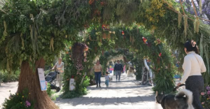 ¿Sin plan para cerrar el mes? Lánzate al Festival de las Flores y Jardines; te contamos fechas, sede y más