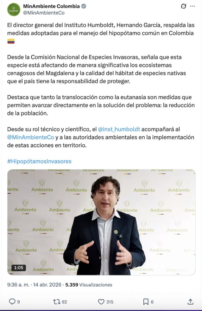 Por qué el gobierno de Colombia sacrificará a 80 hipopótamos de, ¿Pablo Escobar?