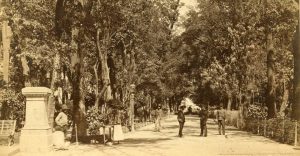 La cautivadora historia de la Alameda Central