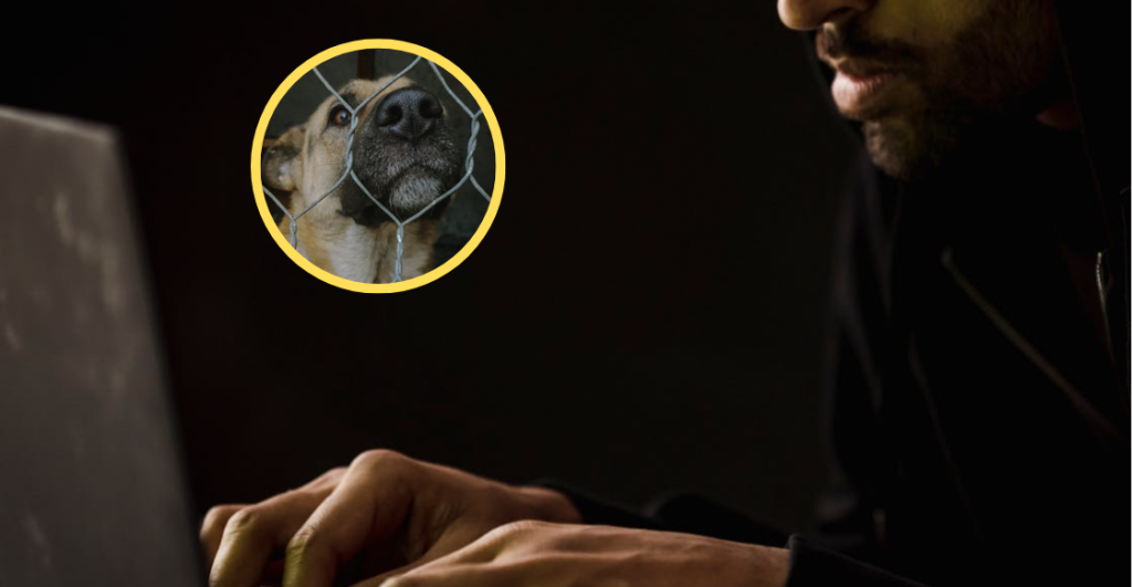 ¡Corran la voz! Extorsionadores usan IA para estafar a dueños de mascotas perdidas en CdMx