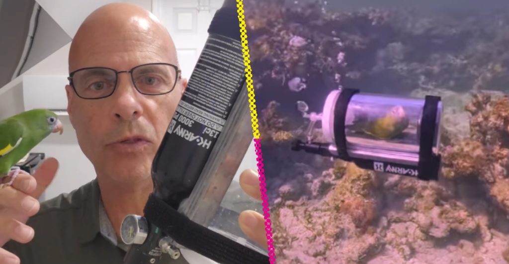 loro-explora-mar-bahamas-usando-minisubmarino-casero-destacada